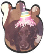 Dog Dallas' Birthday
