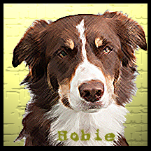 dog Hobie