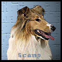 dog Scamp