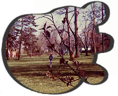 Thomas Gaines Park